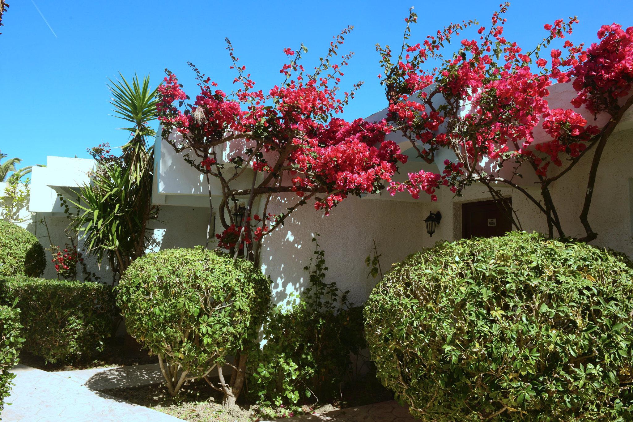 Blue Horizon Hotel Ialysos  Exterior photo