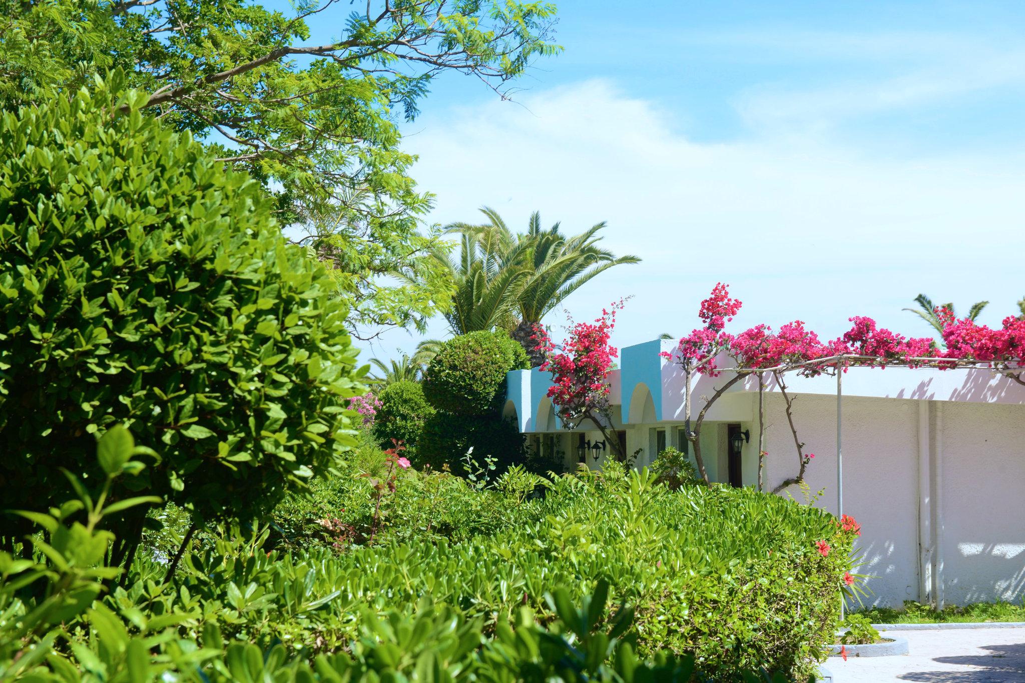 Blue Horizon Hotel Ialysos  Exterior photo
