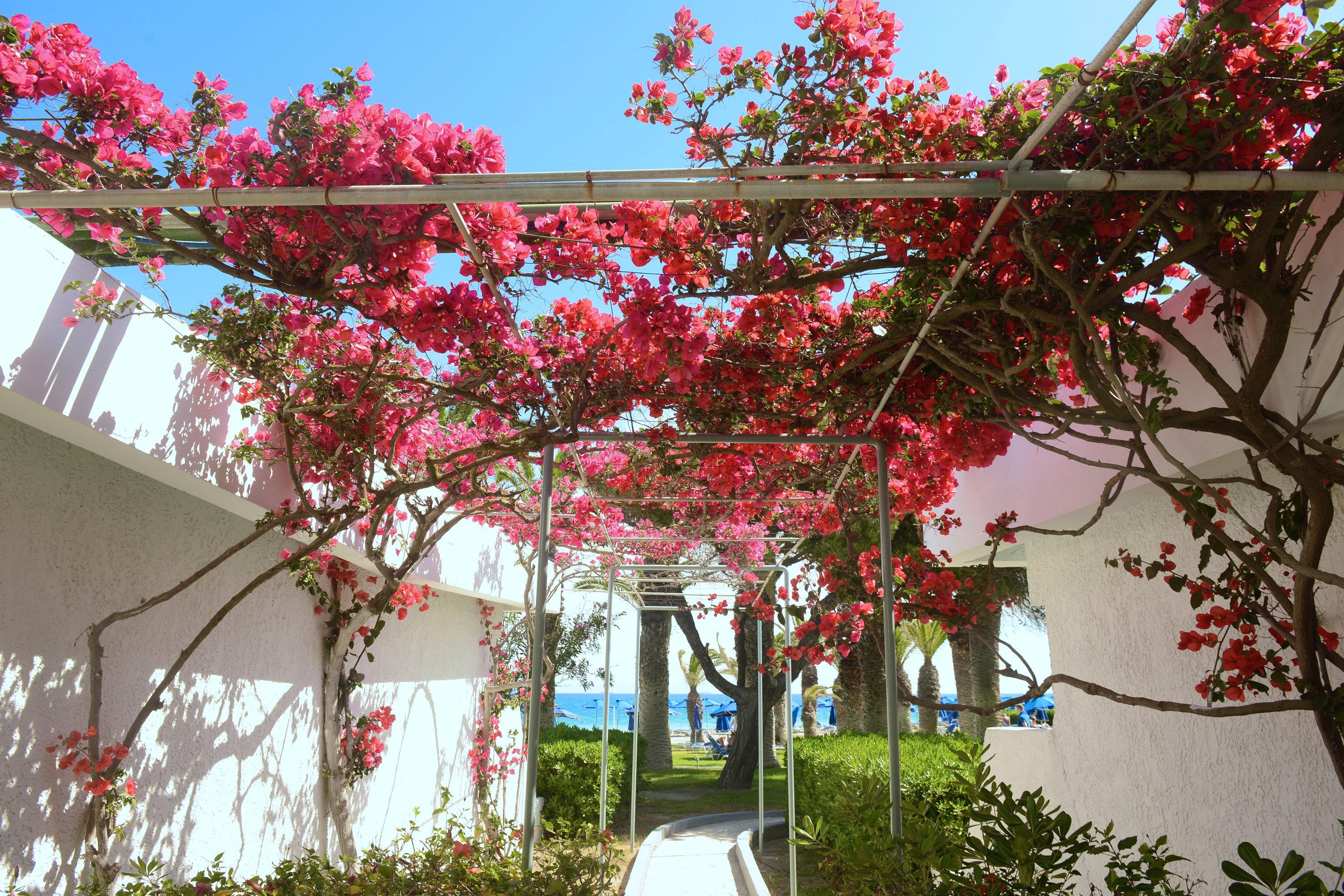 Blue Horizon Hotel Ialysos  Exterior photo